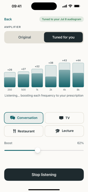 Amplifier screen showing per-frequency correction bars